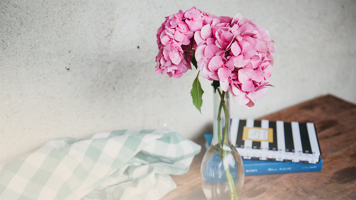 Hortensienblueten in Vase auf Sideboard zwei Buecher