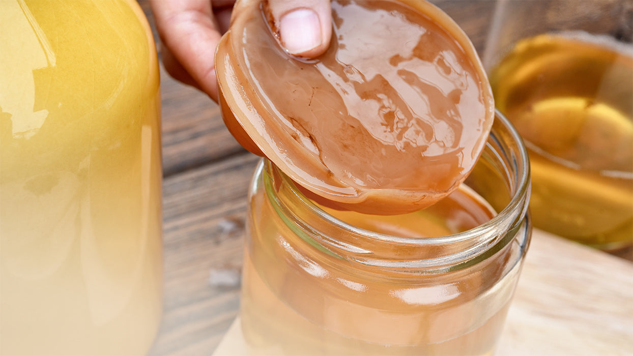 Teepilz Glas Starterfluessigkeit