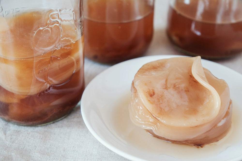 Drei Glas Kombucha Teepilz Scoby auf Teller davor