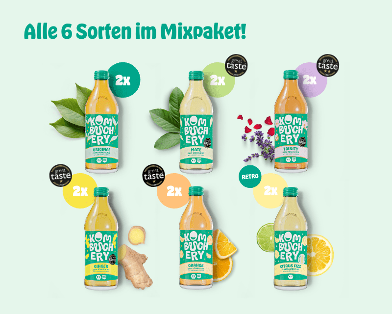 Kombucha Mixpaket 12x 330ml