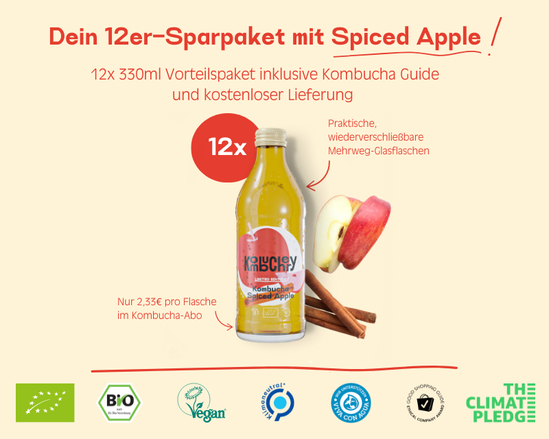 Kombucha Limited Spiced Apple 12x 330ml